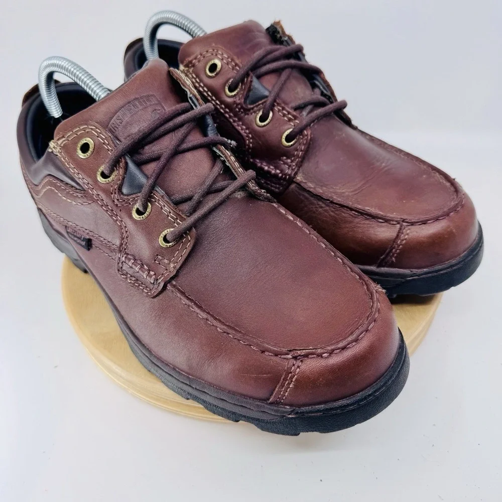 Irish Setter red wing